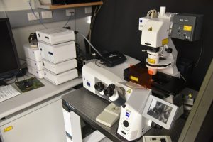 zeiss-lsm-710-confocal-laser-scanning-microscope